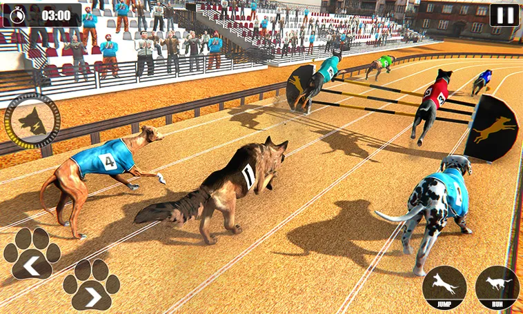 Cách Chơi Game Nhanh Đua Chó Tại QH88 Thắng Lớn Kịch Tính